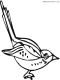 sparrow bird coloring page